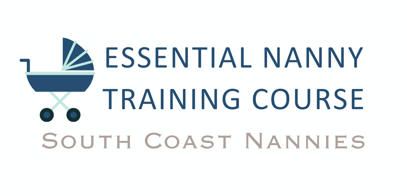 Essential Nanny Training Course