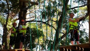 visit-the-southern-highlands-treesadventuresa Visit the Southern Highlands